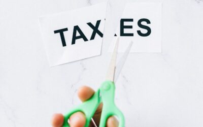 Due modelli per tagliare le tasse, il Mef studia la riforma fiscale